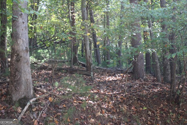 LOT546 N Satsuma Ct, Ellijay, GA 30540