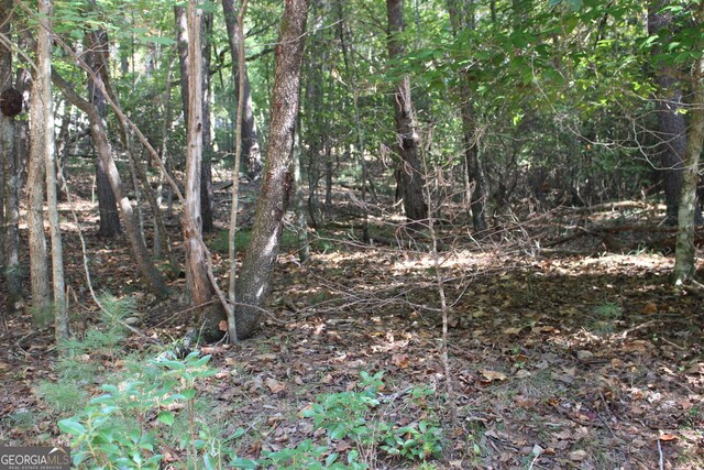 LOT546 N Satsuma Ct, Ellijay, GA 30540