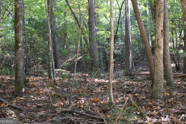 LOT546 N Satsuma Ct, Ellijay, GA 30540
