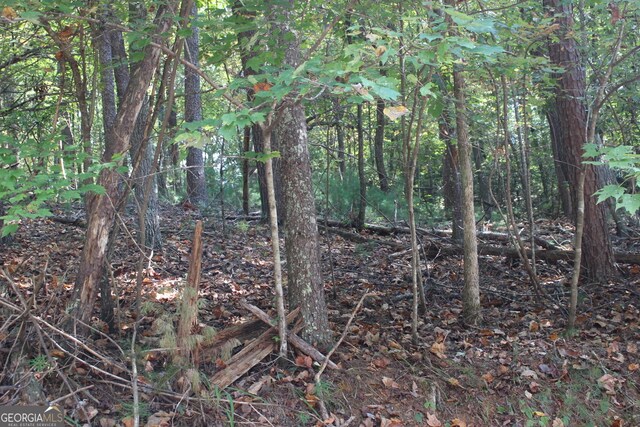 LOT546 N Satsuma Ct, Ellijay, GA 30540