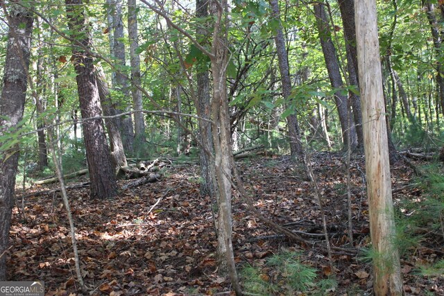 LOT546 N Satsuma Ct, Ellijay, GA 30540