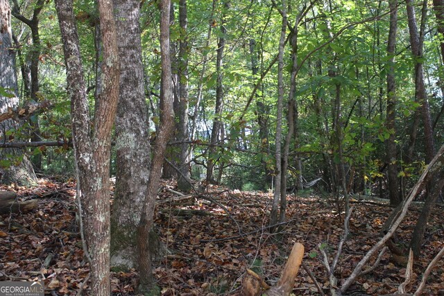 LOT546 N Satsuma Ct, Ellijay, GA 30540