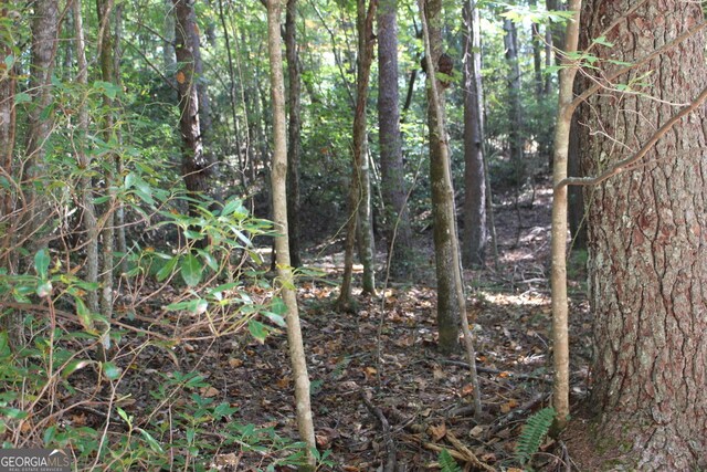 LOT546 N Satsuma Ct, Ellijay, GA 30540