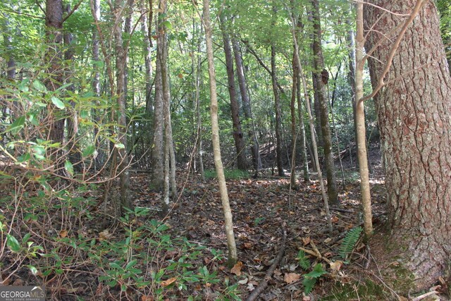 LOT546 N Satsuma Ct, Ellijay, GA 30540