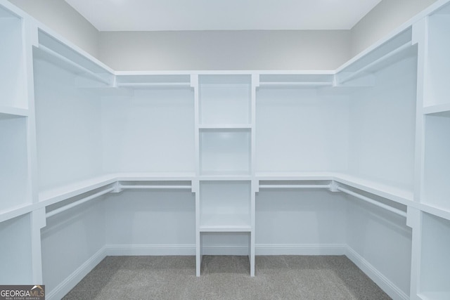 245 Ryan Nicholas Dr, Kingsland, GA 31548 - walk in closet with carpet floors