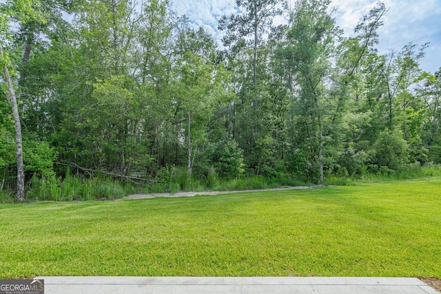 245 Ryan Nicholas Dr, Kingsland, GA 31548 - view of yard