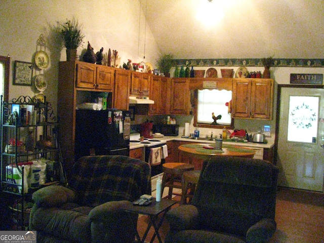 kitchen with lofted ceiling and electric range