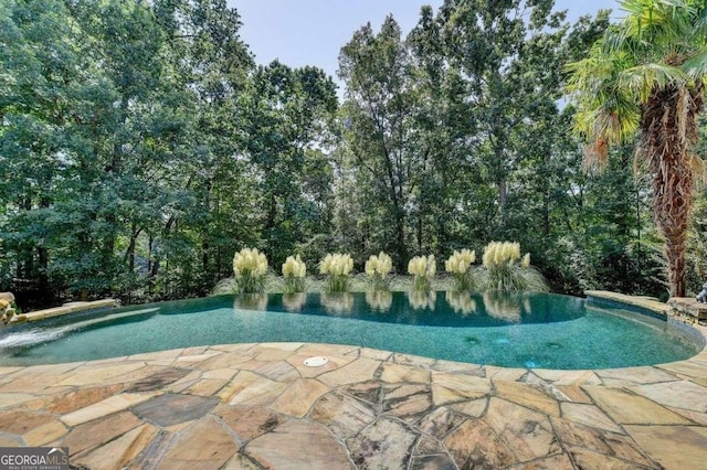 view of swimming pool with a patio area