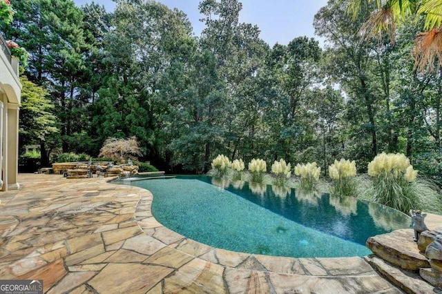 view of swimming pool with a patio area