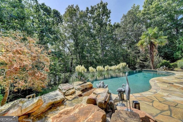 view of swimming pool with a patio