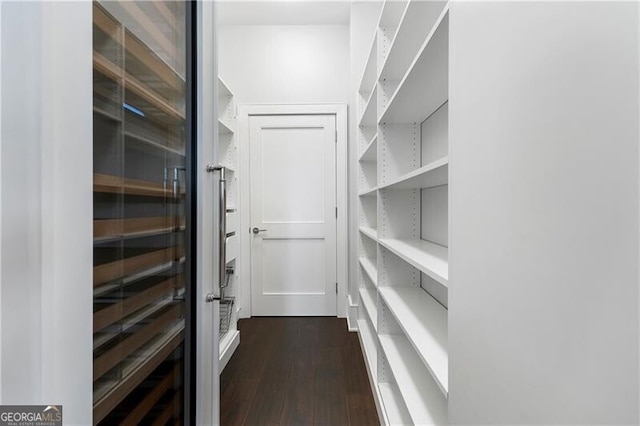 walk in closet with dark wood-type flooring