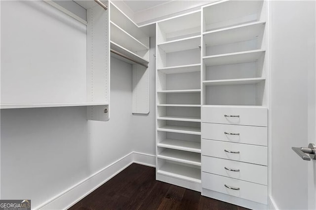 walk in closet with dark wood-type flooring