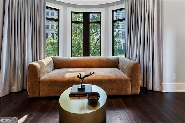 living area featuring dark hardwood / wood-style flooring