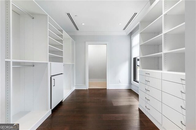 spacious closet featuring dark hardwood / wood-style flooring