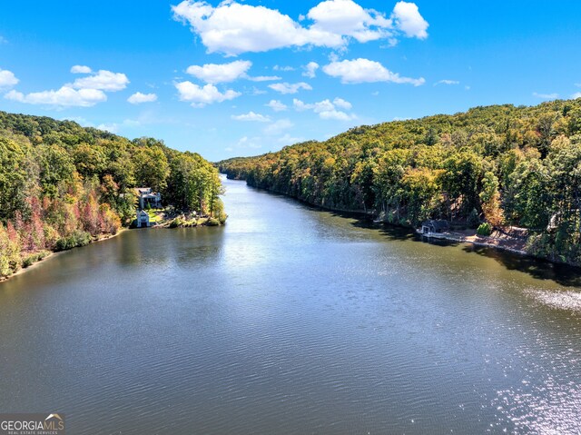 property view of water