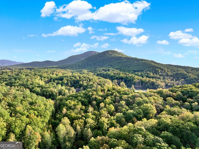 property view of mountains