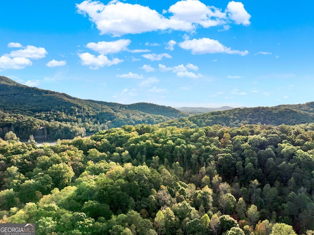 property view of mountains