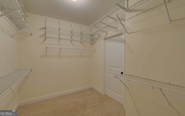 walk in closet with carpet flooring