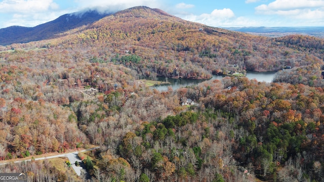 property view of mountains featuring a water view