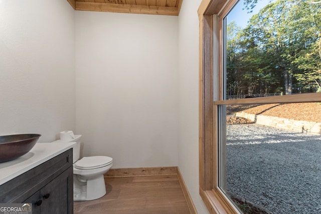 bathroom with vanity, hardwood / wood-style flooring, and toilet