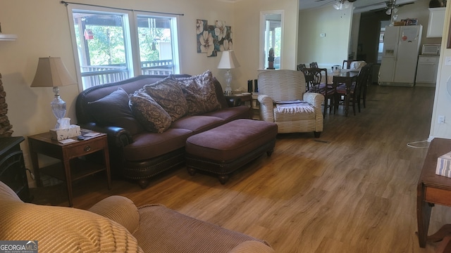 living room featuring ceiling fan and hardwood / wood-style flooring