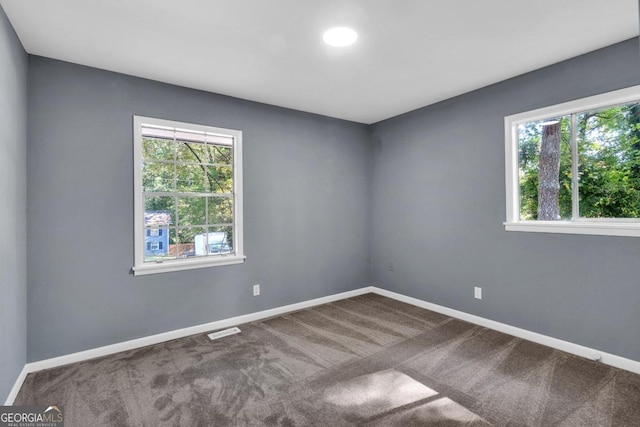 spare room with carpet flooring and a wealth of natural light