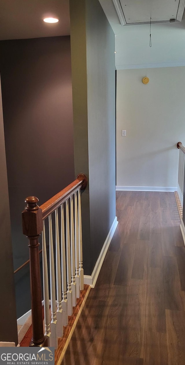 hallway featuring dark hardwood / wood-style flooring