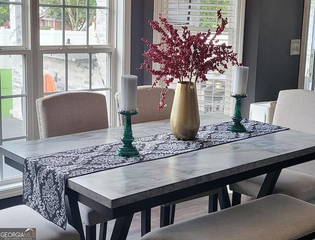 dining space with plenty of natural light