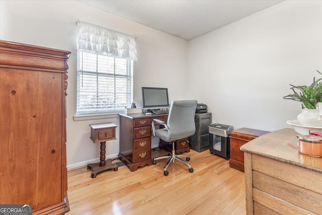 office space featuring light hardwood / wood-style floors and a textured ceiling