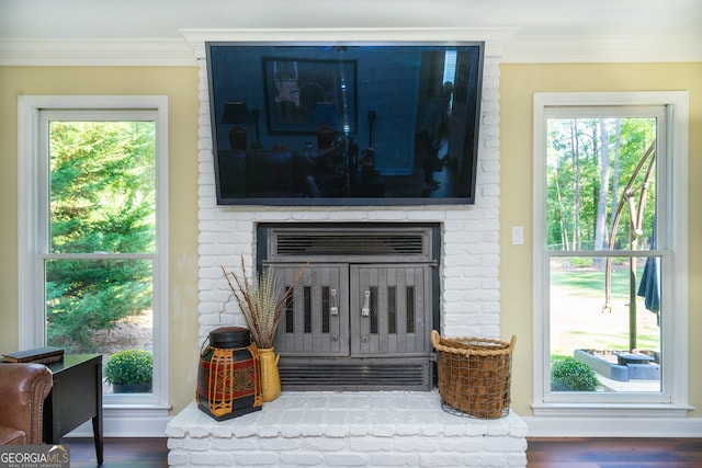 doorway to outside featuring a fireplace, dark hardwood / wood-style flooring, and a wealth of natural light