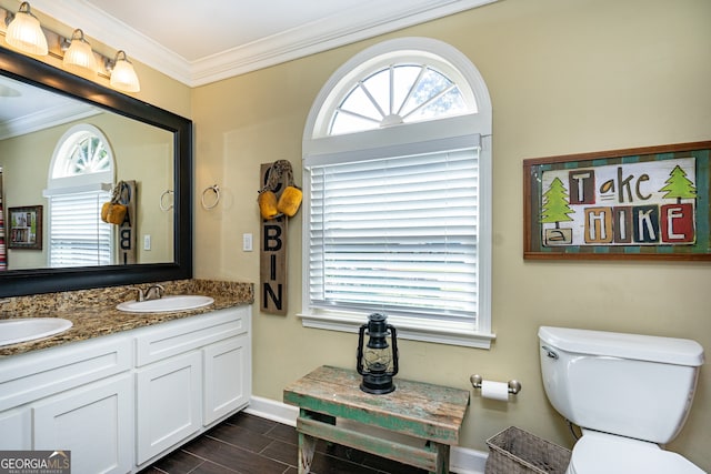 bathroom featuring plenty of natural light, vanity, and toilet