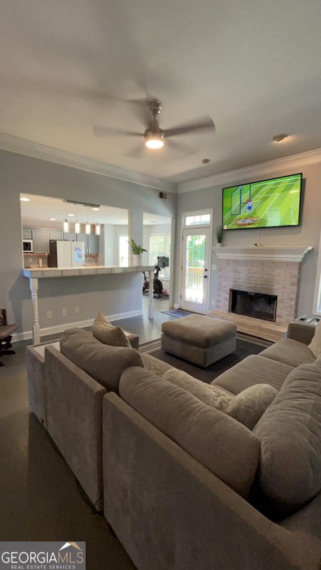 living room with ceiling fan and ornamental molding