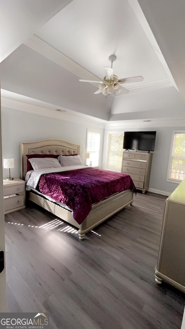 bedroom featuring ceiling fan, dark wood-type flooring, and a tray ceiling