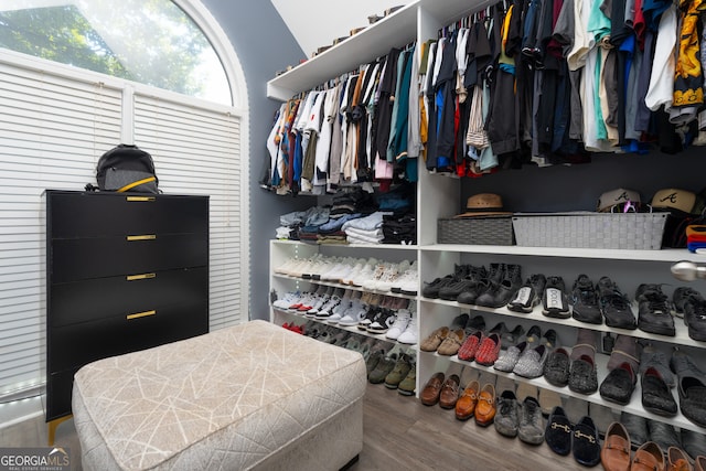 walk in closet featuring hardwood / wood-style floors