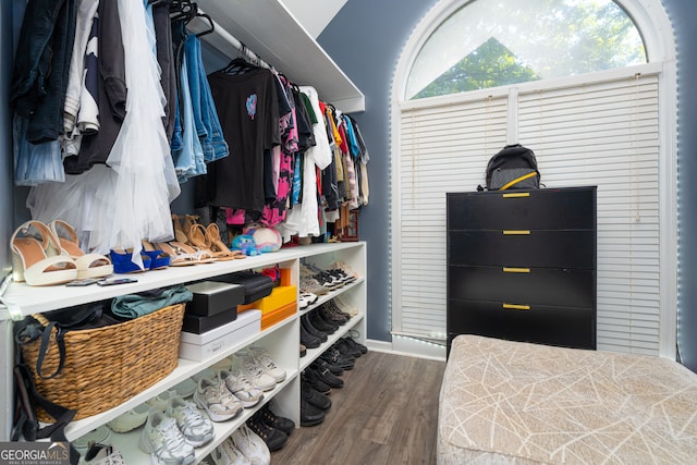 spacious closet with hardwood / wood-style floors