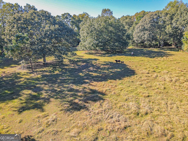 view of yard with a rural view