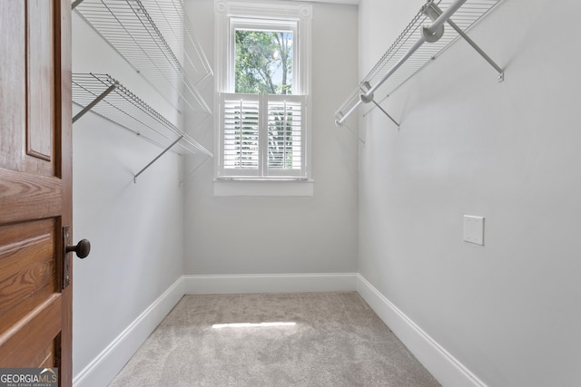 spacious closet with light carpet