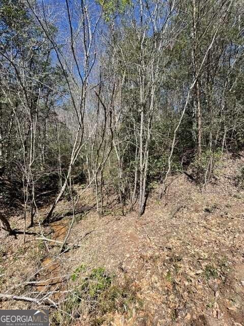 Listing photo 3 for LOT6 Willow Ridge, Warne NC 28909