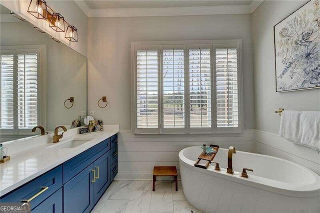 bathroom with a tub, a wealth of natural light, and vanity