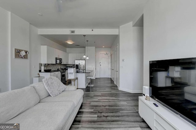 living room featuring sink and dark wood-type flooring