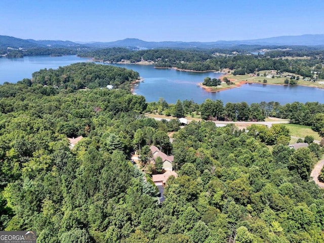 drone / aerial view with a water and mountain view