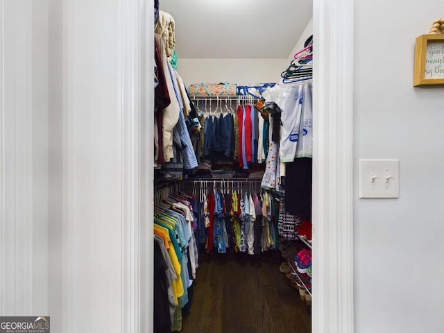 walk in closet featuring hardwood / wood-style floors