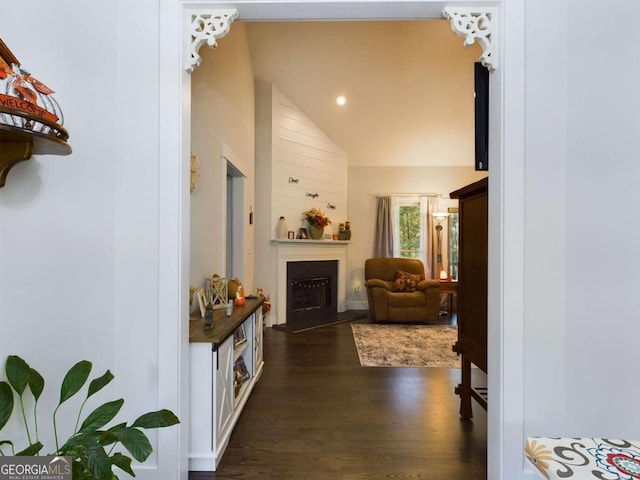 hall featuring dark wood-type flooring and high vaulted ceiling