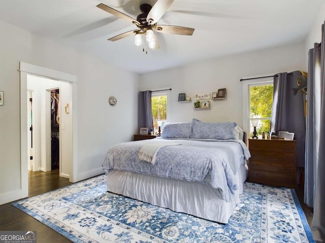 bedroom featuring ceiling fan, dark wood-type flooring, multiple windows, and a walk in closet