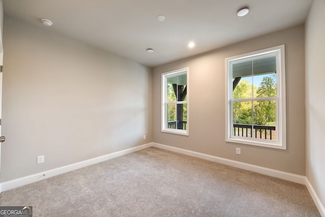 spare room featuring a wealth of natural light and light carpet