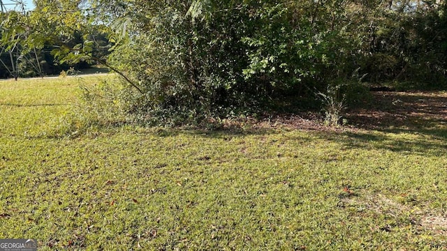 view of local wilderness