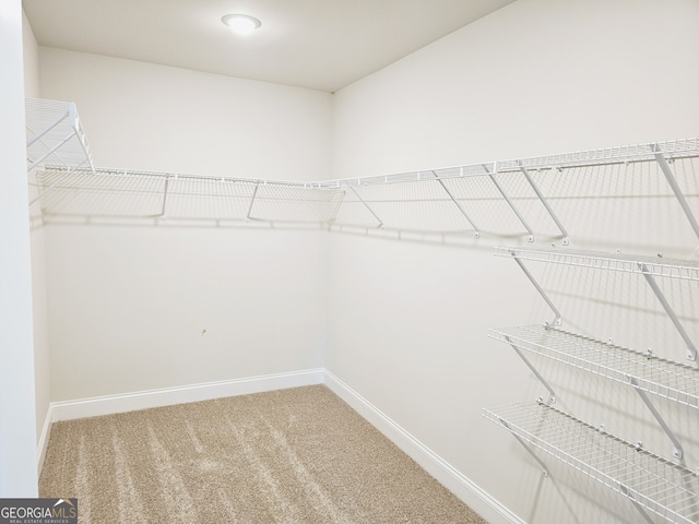 walk in closet featuring carpet