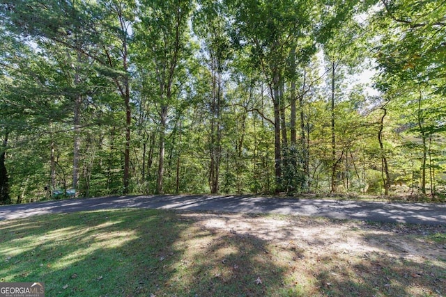 Listing photo 2 for 0 Apache Ridge Rd, Jasper GA 30143