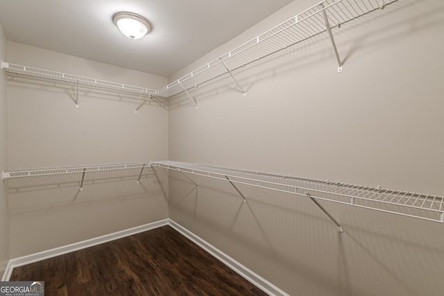 walk in closet featuring hardwood / wood-style floors