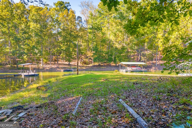 view of yard with a water view and a boat dock